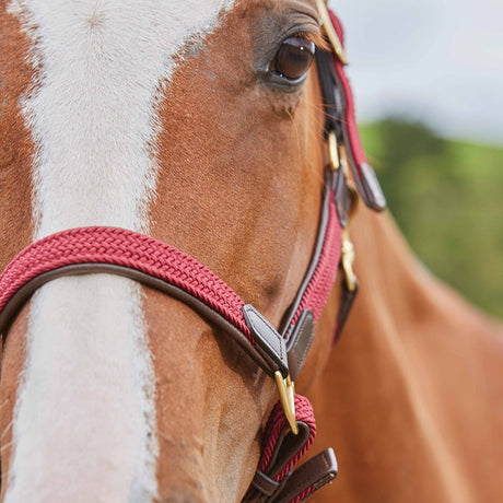 Kincade Braided Leather Headcollar #colour_maroon