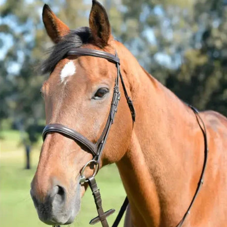 Kincade Classic Plain Raised Cavesson Bridle With Reins #colour_brown