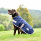 Weatherbeeta Comfitec Essential Dog Coat #colour_navy-silver-red