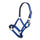 HKM Head Collar -Breakaway 2- #colour_royal-blue