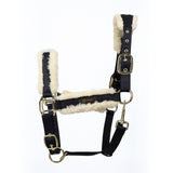 Coldstream Langlee Luxury Head Collar & Lead Rope #colour_navy