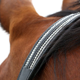 Hy Equestrian Anodize Leather Head Collar