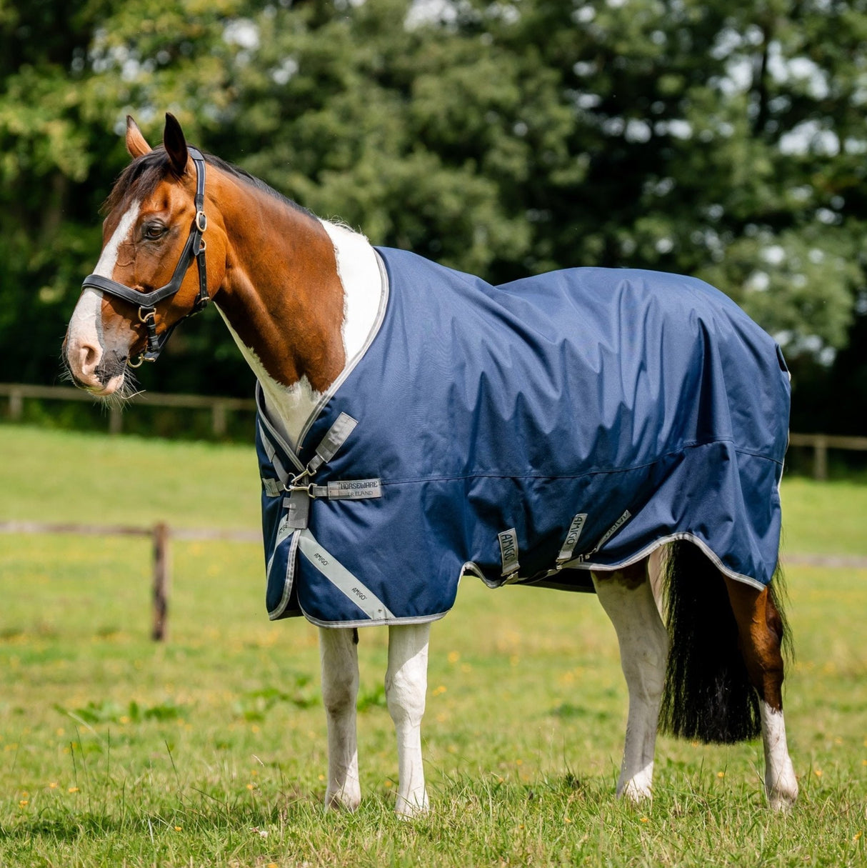 Horseware Ireland Amigo Bravo 12 XL 0g Lite Turnout Rug #colour_navy-titanium-grey-silver