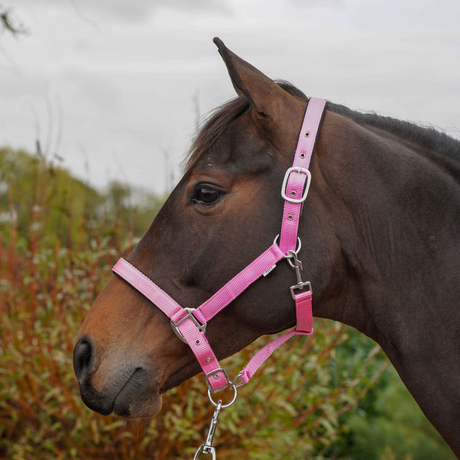 GS Equestrian Padded Head Collar #colour_pink