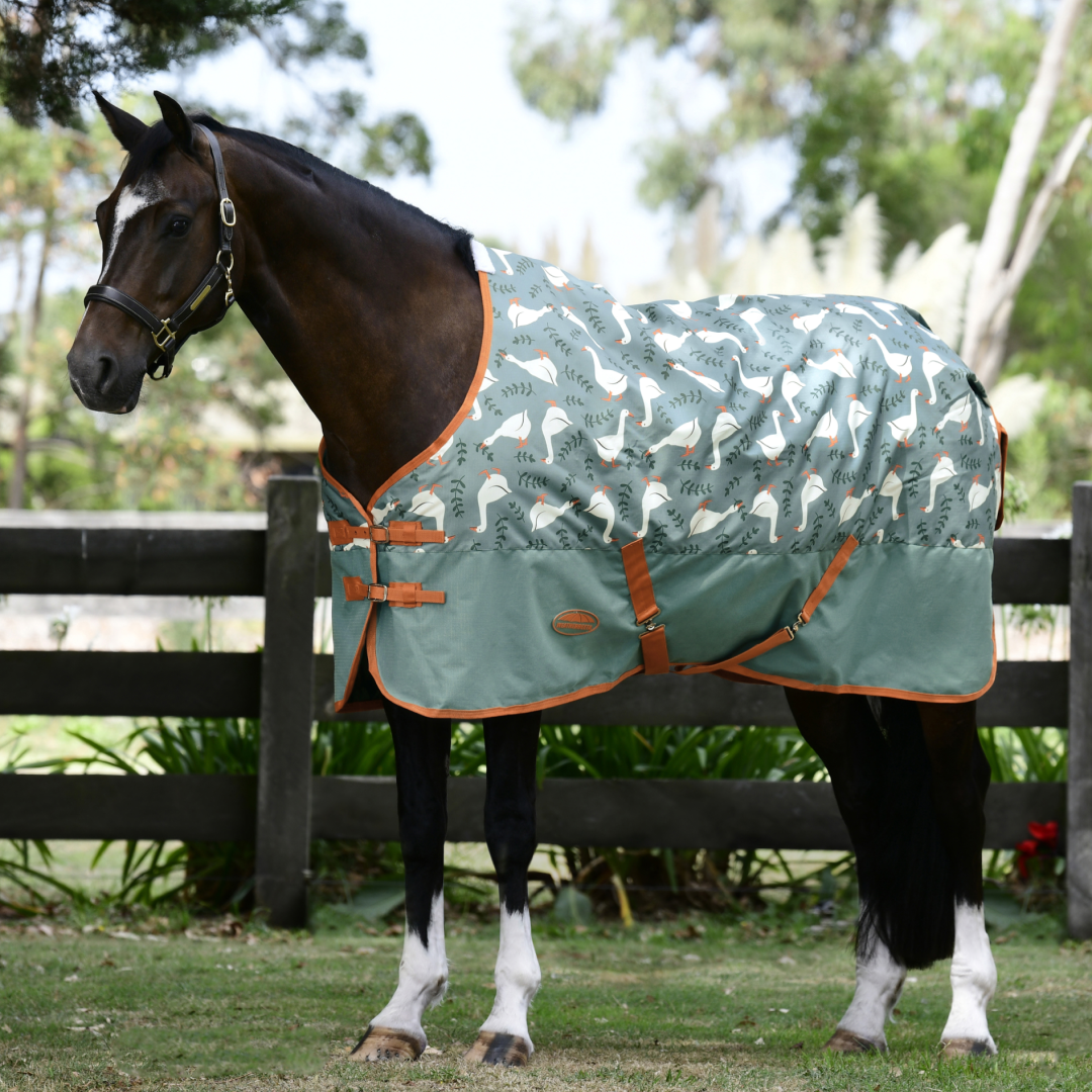 Weatherbeeta Comfitec Tyro Standard Neck Lite Plus Turnout Rug