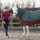 StormX Original Divine Deer 200g Combi Turnout Rug