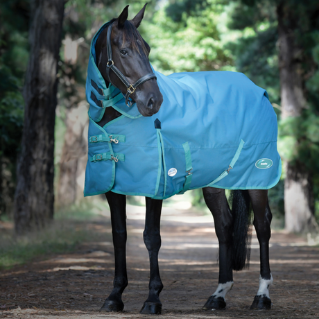 Weatherbeeta Green-Tec 1200D Detach-A-Neck Heavy Turnout Rug #colour_dragon-fly-blue-bottle-green