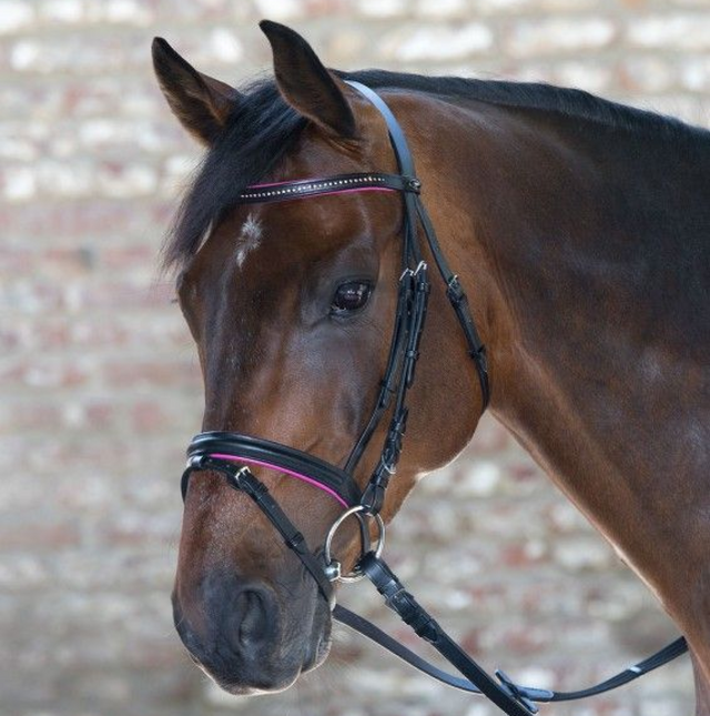 Waldhausen Star Diamond Bridle #colour_pink