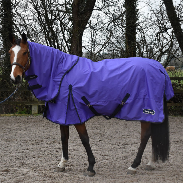 Whitaker Rastrick 0g Combo Turnout Rug #colour_purple