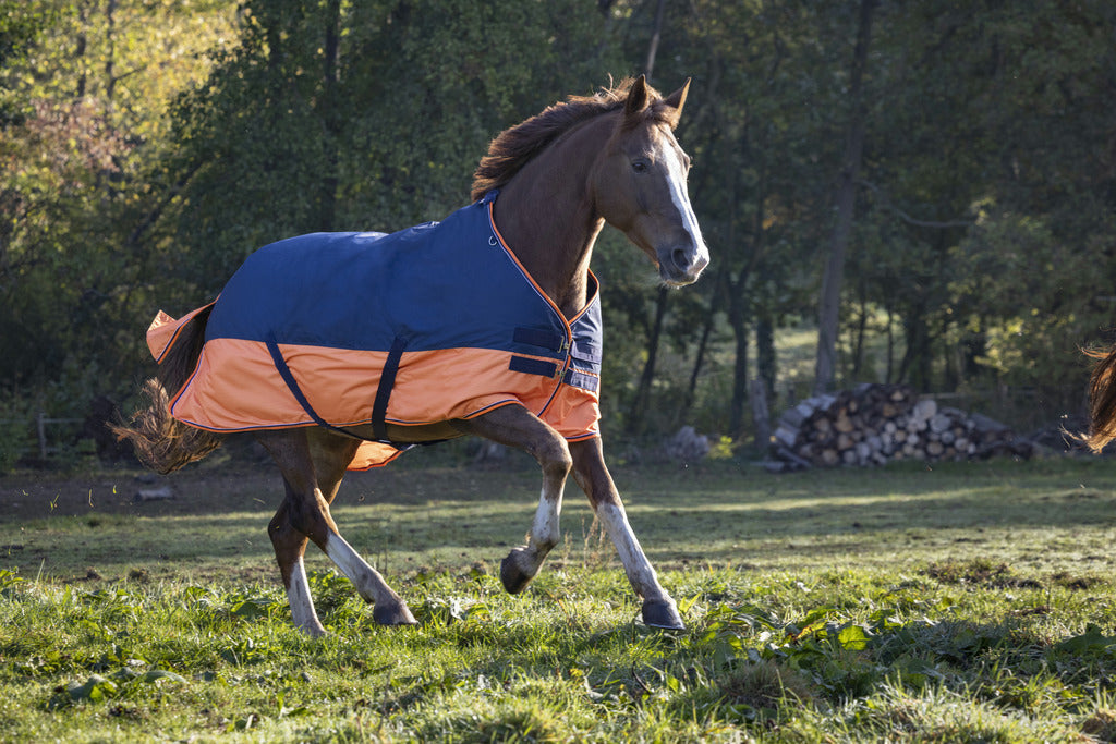 Equitheme Tyrex 600D Turnout Rug Lined With Polar Fleece