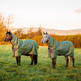 Horseware Ireland Amigo Hero 0g Turnout Rug #colour_bramble-winterberry-taupe