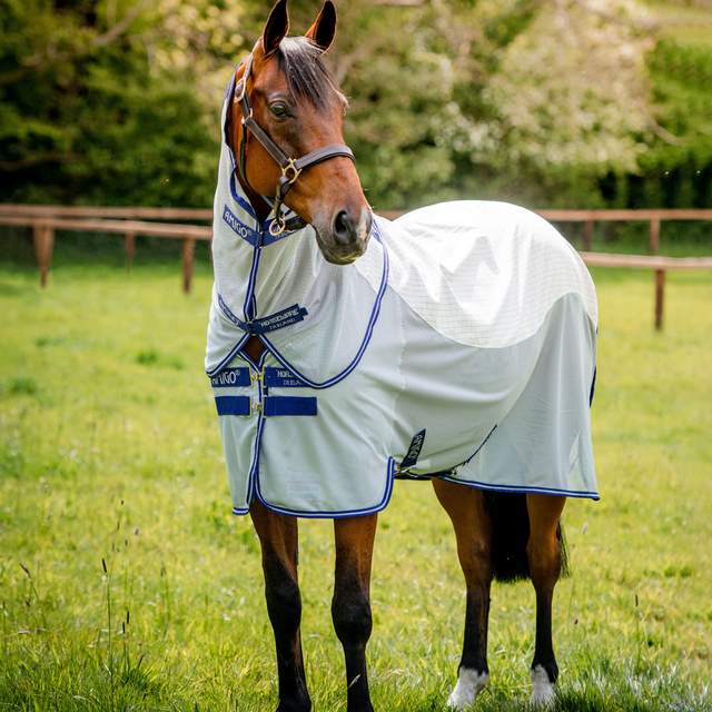 Horseware Ireland Amigo Airflow #colour_navy-check-atlantic-blue-ivory