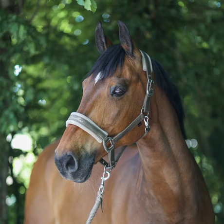 Covalliero Head Collar #colour_avocado