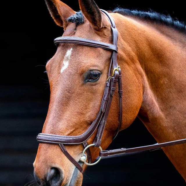 Shires Salisbury Buckingham Bridle #colour_austrialian-nut