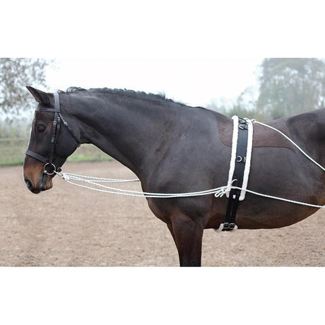 Shires Lunging Aid