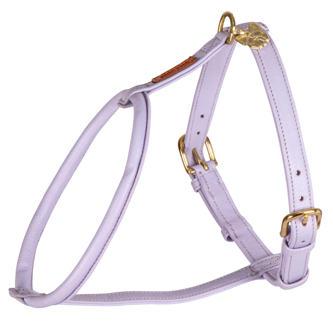 Shires Digby & Fox Rolled Leather Dog Harness #colour_lilac