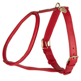 Shires Digby & Fox Rolled Leather Dog Harness #colour_scarlett