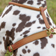 Shires Digby & Fox Rolled Leather Dog Harness #colour_tan