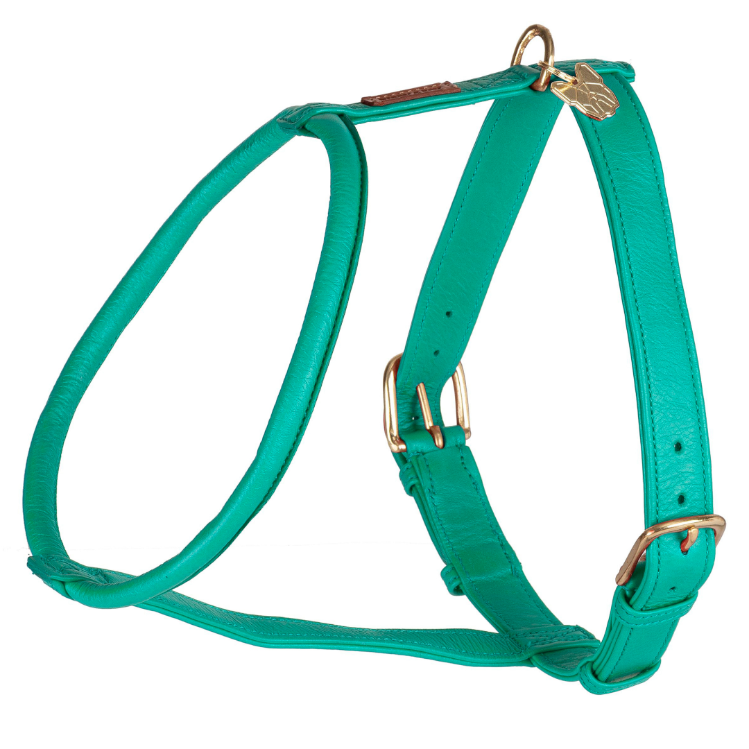 Shires Digby & Fox Rolled Leather Dog Harness #colour_teal
